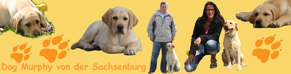 Dog Murphy von der Sachenburg